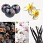 Preview: Duftnoten: schwarze Johannisbeere, Frangipani, Feige, Jasmin, Vanille Preview: Duftnoten: schwarze Johannisbeere, Frangipani, Feige, Jasmin, Vanille